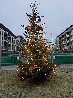 Studentenwohnung-Garching-Weihnachtsbaum-GLC